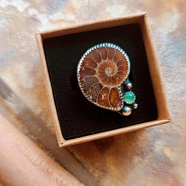 Sterling Silver Ammonite Fossil Statement Ring