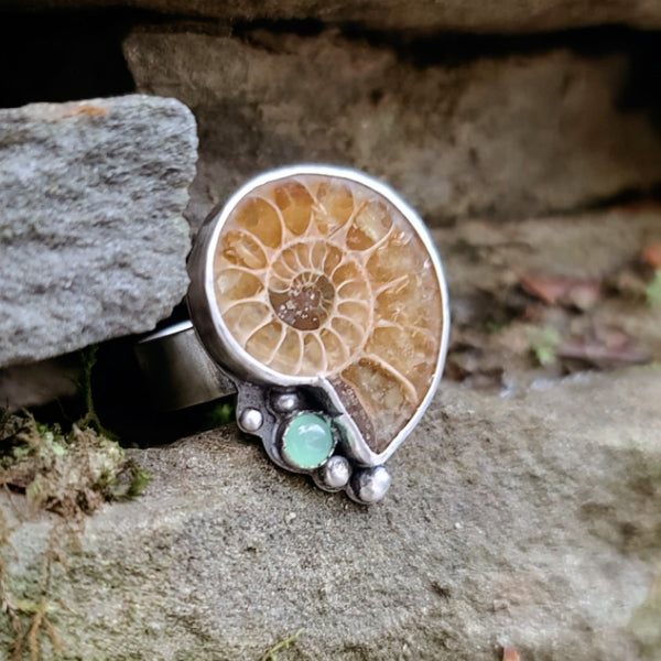 Sterling Silver Ammonite Fossil Statement Ring