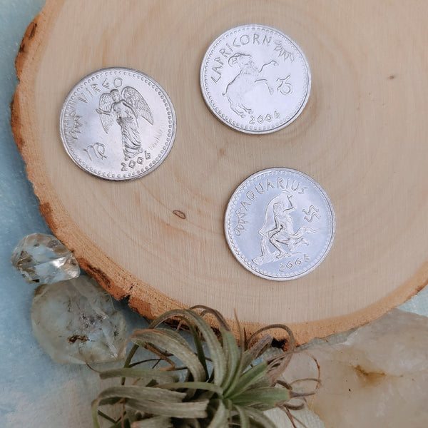 Astrology Coin Pendant/ Zodiac Coin
